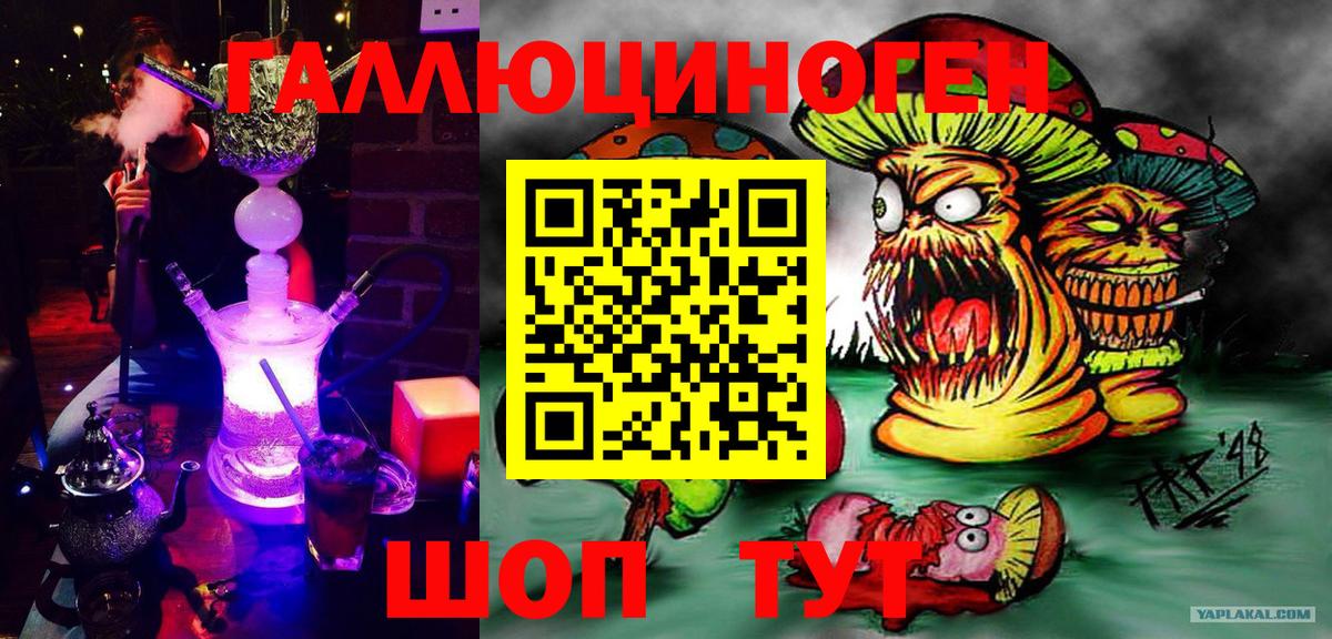 Галлюциногенные грибы Psilocybine cubensis Урюпинск