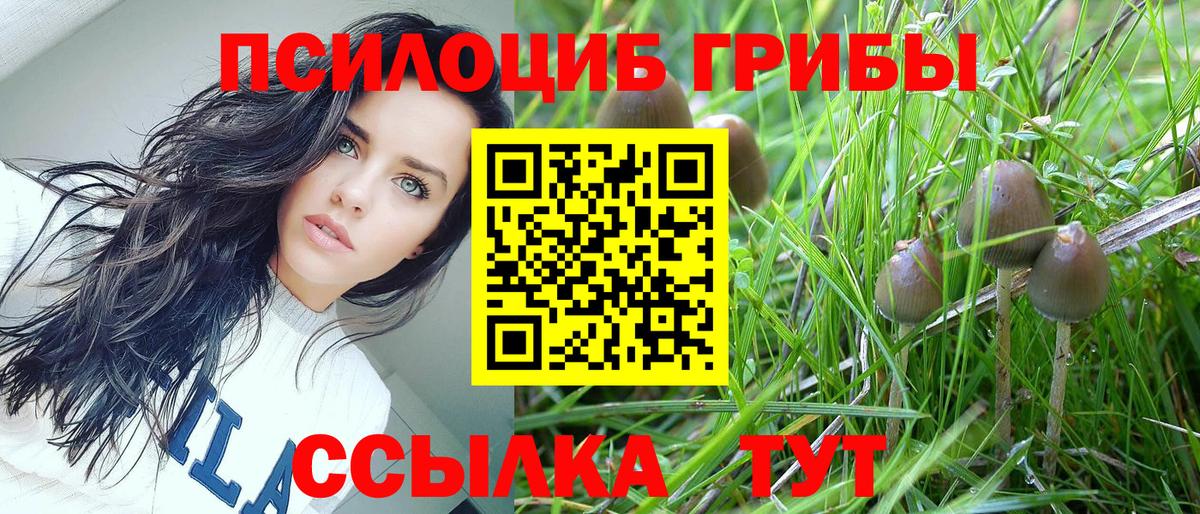 Урюпинск  Псилоцибиновые грибы MAGIC MUSHROOMS  Вход с VPN 